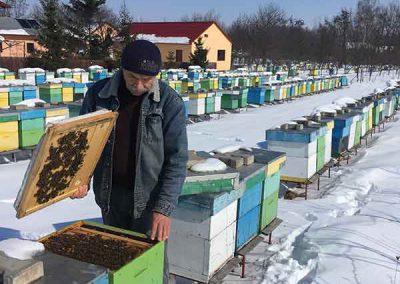 Mon père avec les ruches en hiver